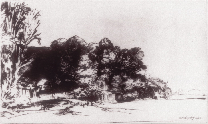 Dark group of trees beside a plain of grass in gray and white